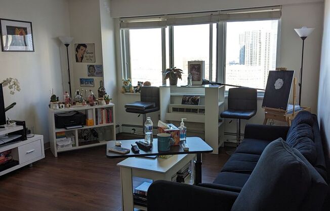 1 bed, 1 bath, 570 sqft, $2,950, Unit 1702