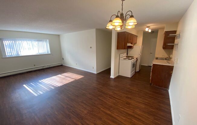 1 bed, 1 bath, 740 sqft, $1,025, Unit 304