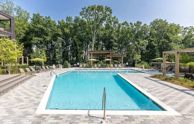 take a dip in our resort style pool at Century University City, Charlotte