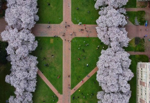 Studio, 1 bath, 330 sqft, $1,789, Unit 201