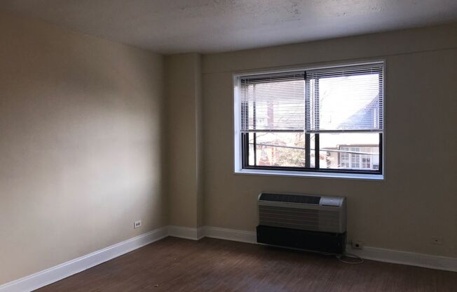 1 bed, 1 bath, 506 sqft, $950