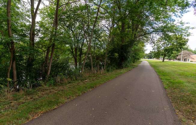 A tree-lined path in a park.