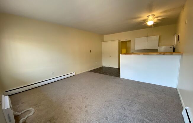 1021 S. Progress Ave