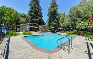 Pet-Friendly Apartments in San Jose, CA- Villas Willow Glen- Sparkling Pool, Sun Lounge Chairs, and Landscaping