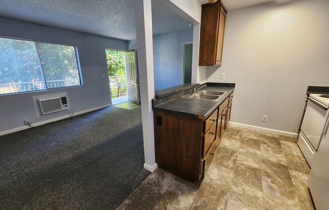 1 bed, 1 bath, $900, Unit 3503 Churn Creek Rd - 11