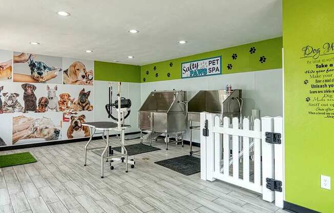 A dog grooming salon with a green wall and a white fence.