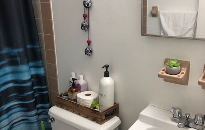 Studio, 1 bath, $1,099, Unit B11