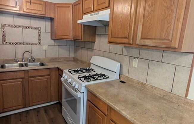 4 Bedroom 2 Bathroom Single Story Home in Spring Valley