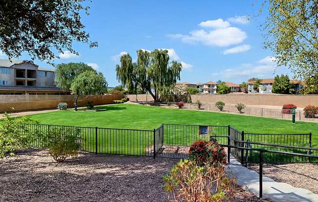 A lush and expansive fenced dog park here at Pala Mesa featuring vibrant green grass, shaded mature trees, and secure black metal fencing for added peace of mind. A paved entry walkway, open lawn space for play, and surrounding desert landscaping create a spacious and pet-friendly outdoor area perfect for exercise and socializing.