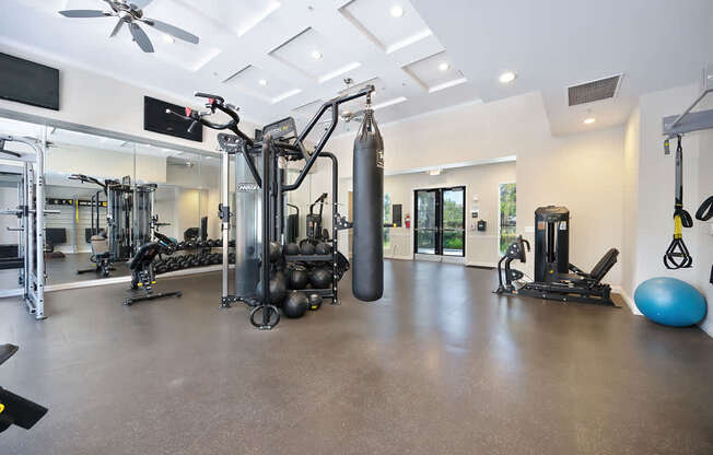 A spacious gym with a variety of equipment including a punching bag, weight machines, and a blue exercise ball.