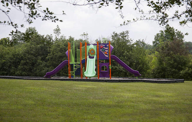 Playground at Three Oaks Apartments in Michigan