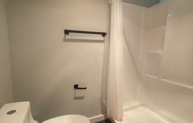 Studio, 1 bath, 250 sqft, $1,095, Unit 102