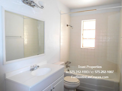 Great 3/1 with large yard close to NMSU