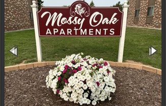 2989 Mossy Oak Circle