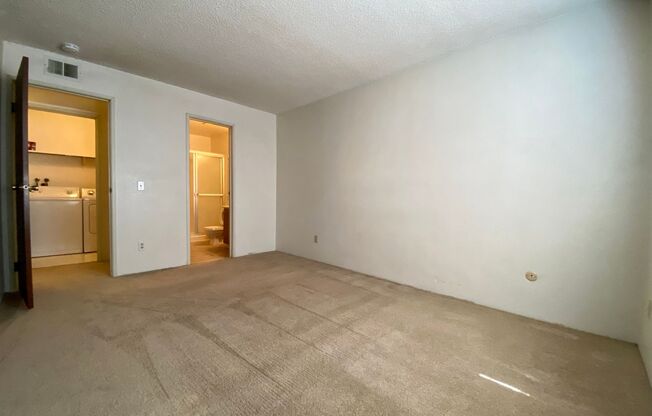 1 bed, 1 bath, $1,250