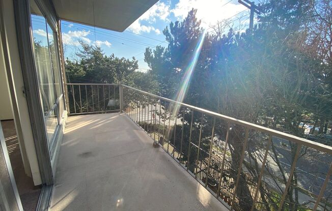 Sou'Wester Apartments