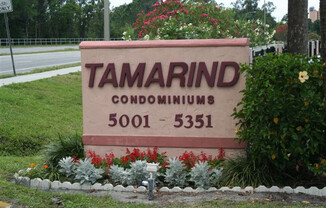Tamarind - Renovated 2 Bedroom 2 Bath Condominium