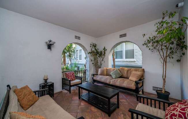 A living room with a couch, chair, and potted plant.