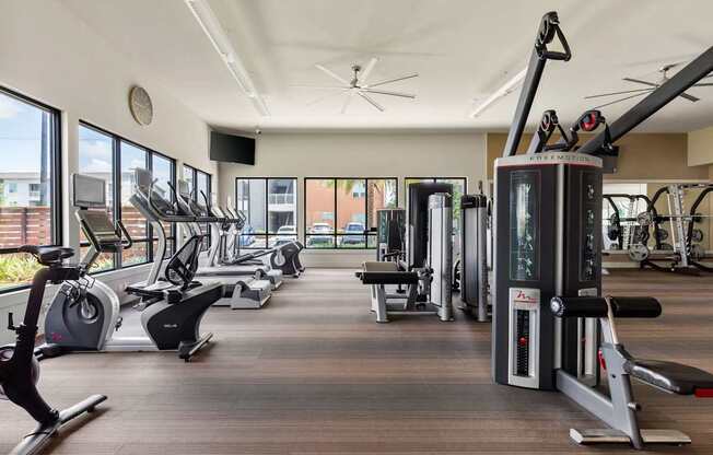 A gym with a variety of equipment including treadmills, stationary bikes, and weight machines.