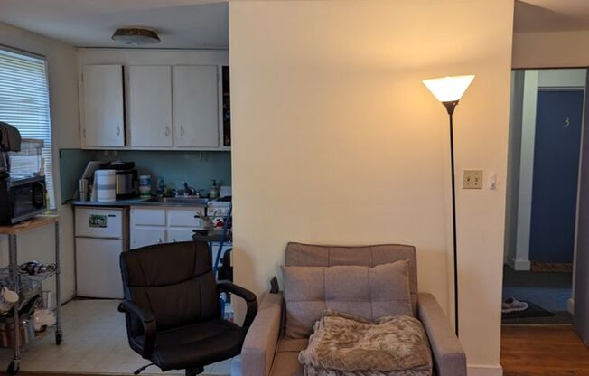 Studio, 1 bath, 300 sqft, $1,900