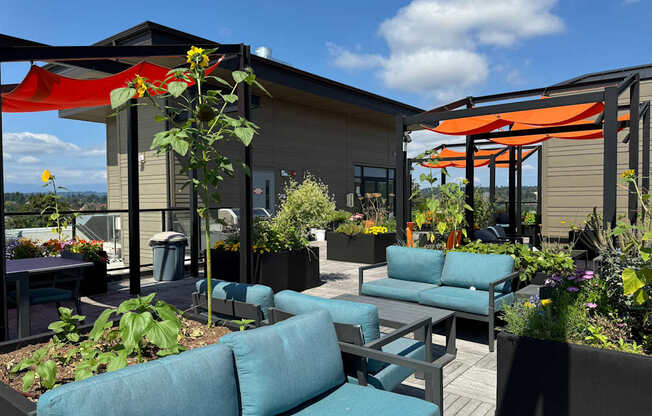 a rooftop patio with blue couches and orange umbrellas at Spyglass Hill Apartments, Bremerton, WA