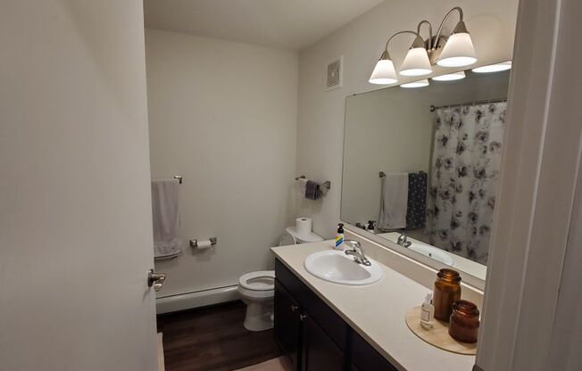 Studio, 1 bath, 703 sqft, $875, Unit Rhett's Row #6