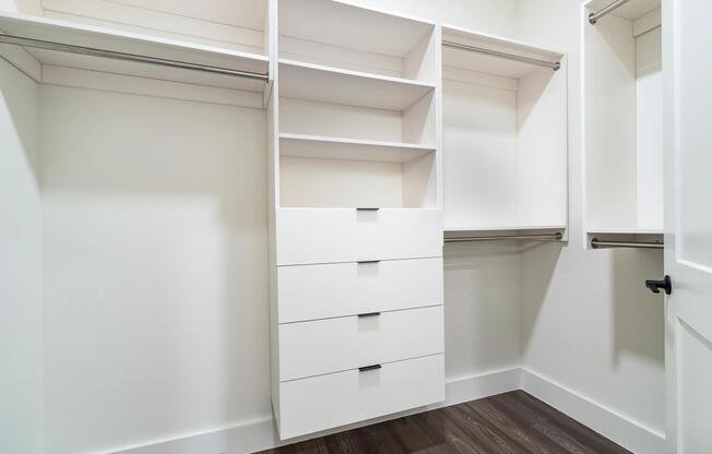 Custom built-ins and dual hanging rods make it easy to keep everything organized in this oversized closet.