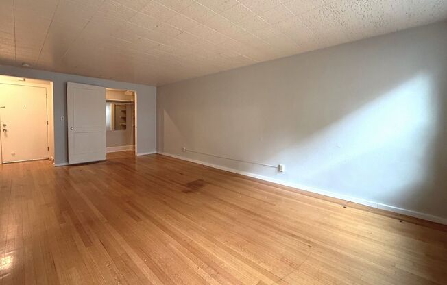 Studio, 1 bath, 510 sqft, $1,300, Unit 411