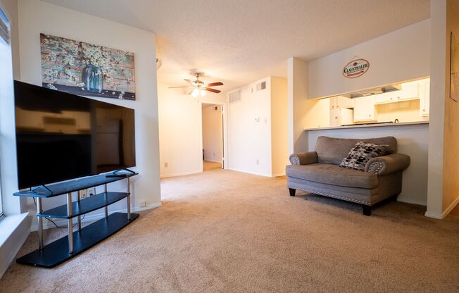 1 bed, 1 bath, $1,399, Unit Apt 122