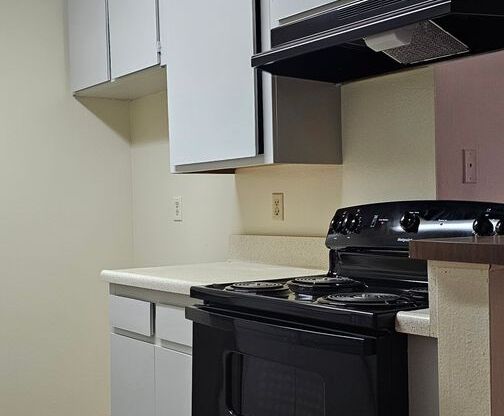 1 bed, 1 bath, 625 sqft, $1,950, Unit 313