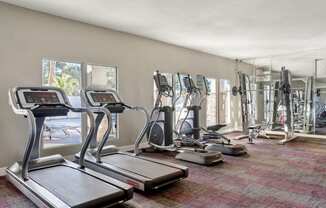 the apartments at masse corner 205 fitness room