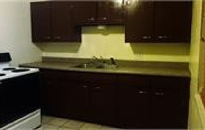 975-977-979 S Lowell Blvd