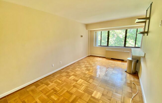 Wilshire Park Condo Studio with Den with Park views in Cleveland Park!