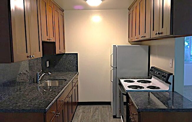 This is a large 2-bdr in a convenient, Freshly painted, updated kitchen counter tops and cabinets