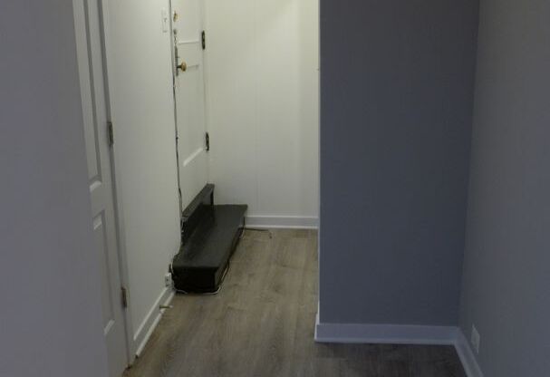 Studio, 1 bath, 400 sqft, $1,175, Unit LLO