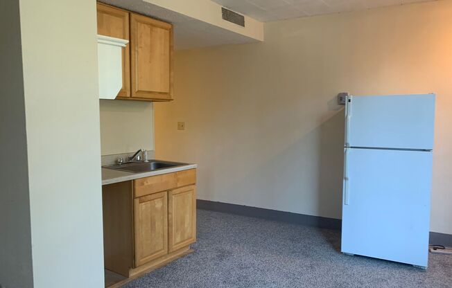 Studio, 1 bath, $750, Unit 373