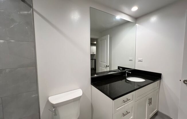 Studio, 1 bath, 457 sqft, $1,500, Unit GR 718-BS