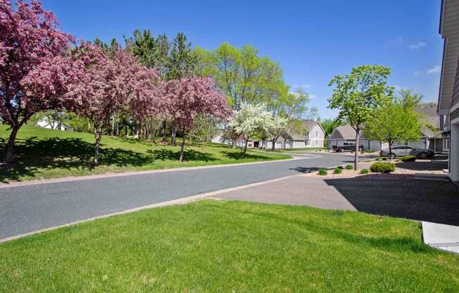 a street in a neighborhood with flowering trees