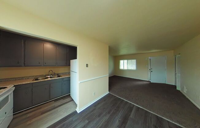 Newly updated 2 Bedroom, 1 bathroom Apartment in Newport News-first month free