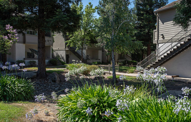 A garden with a variety of plants and trees in front of a building at Sunset Summit, Rocklin, CA, 95765
