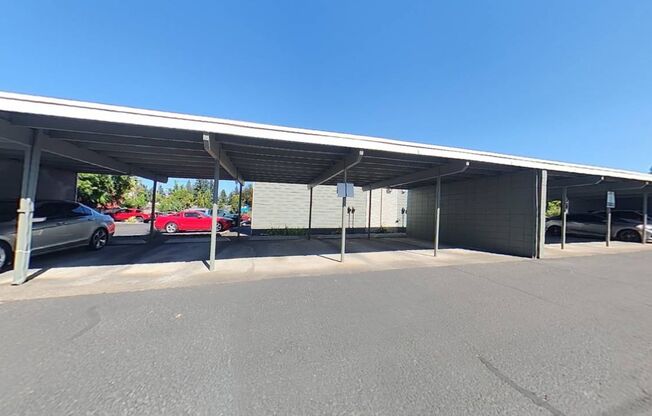 Studio, 1 bath, 355 sqft, $1,040