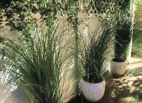 Studio, 1 bath, 419 sqft, $2,595, Unit B-3