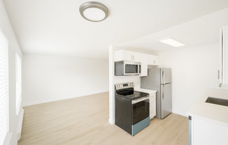 1 bed, 1 bath, 590 sqft, $1,250, Unit 313