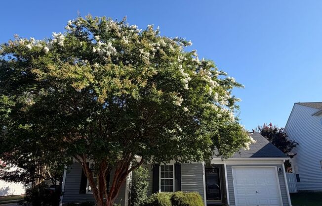Charming Corner-Lot Ranch in the heart of Indian Land – Minutes from Ballantyne, Shopping & Top-Rated Schools!