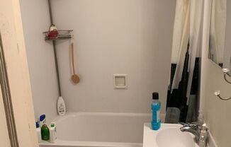 1 bed, 1 bath, $1,195