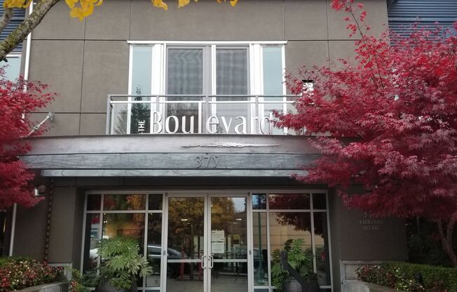 Contemporary 1 bedroom in downtown Kirkland