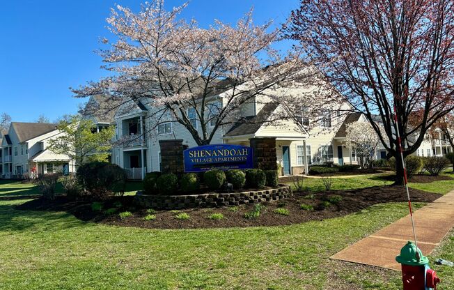 SHENANDOAH VILLAGE