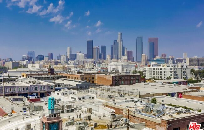 1 bed, 1 bath, 1,060 sqft, $3,350, Unit 310