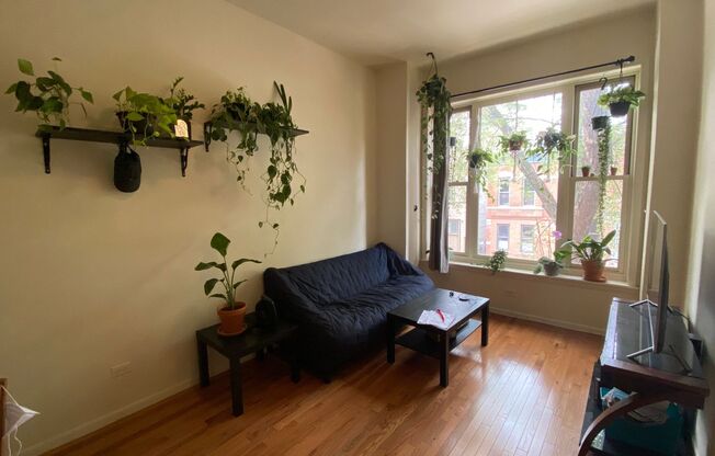 2Bedroom DePaul University Campus PetsWelcome