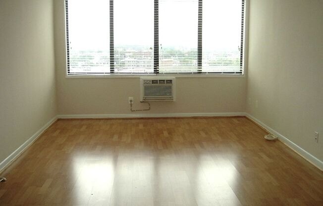 Studio, 1 bath, 405 sqft, $1,750, Unit 1013